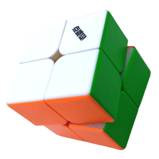 PROD-Diansheng2x2M-0