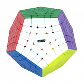 Diansheng Megaminx 5x5 Gigaminx Magnetico Colored