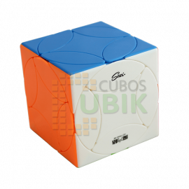 Cubo Rubik Qiyi Coin Colored 